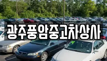 광주광역시 광산구 삼도동 렌트카,단기렌트카,장기렌트카,중고차,중고차매매,중고차매입