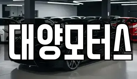 광주광역시 광산구 삼도동 중고차 전문 대양모터스