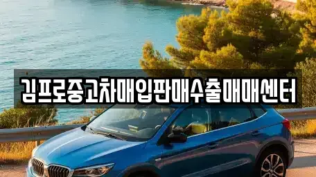 광주광역시 광산구 삼도동 중고차매입 전문 김프로중고차매입판매수출매매센터