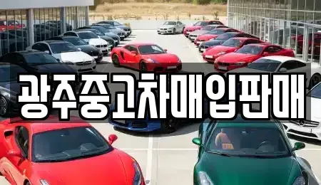 광주광역시 광산구 흑석동 중고차매입 전문 광주중고차매입판매