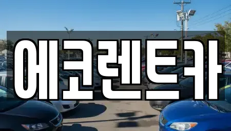 광주광역시 동구 충장로4가 렌트카 전문 에코렌트카