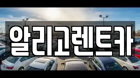 광주광역시 서구 마륵동 렌트카 전문 알리고렌트카