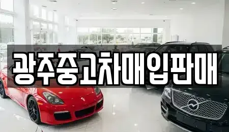 광주광역시 서구 마륵동 중고차 전문 광주중고차매입판매