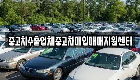 광주광역시 서구 마륵동 중고차매입 전문 중고차수출업체중고차매입매매지원센터
