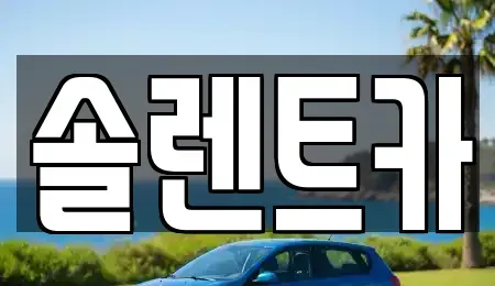 대구 중구 동인동4가 장기렌트카 전문 솔렌트카