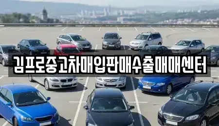 대구 중구 동인동4가 중고차 전문 김프로중고차매입판매수출매매센터