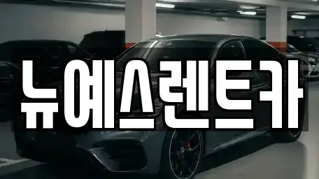 대구광역시 수성구 수성동1가 렌트카 전문 뉴예스렌트카