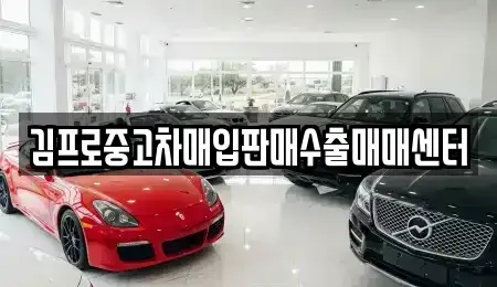 대구광역시 수성구 수성동1가 중고차 전문 김프로중고차매입판매수출매매센터