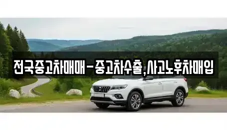 대구광역시 수성구 수성동1가 중고차 전문 전국중고차매매-중고차수출,사고노후차매입