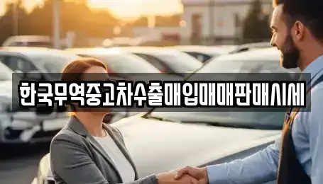 대구광역시 수성구 수성동1가 중고차 전문 한국무역중고차수출매입매매판매시세