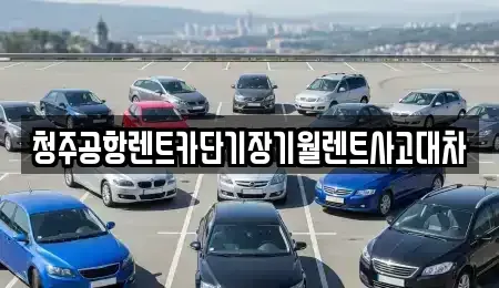 대전 대덕구 신탄진동 단기렌트카 전문 청주공항렌트카단기장기월렌트사고대차