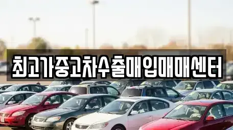 대전 대덕구 신탄진동 중고차매입 전문 최고가중고차수출매입매매센터