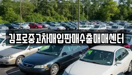 대전 동구 홍도동 중고차매매 전문 김프로중고차매입판매수출매매센터