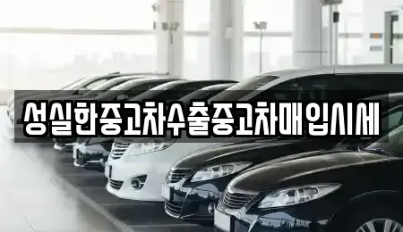 대전 동구 홍도동 중고차매매 전문 성실한중고차수출중고차매입시세