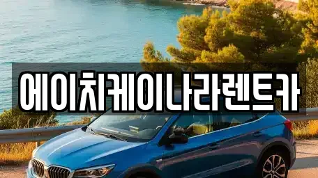 대전광역시 유성구 대동 렌트카 전문 에이치케이나라렌트카