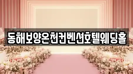 동해시 심곡동 가까운 웨딩컨설팅,웨딩메이크업,웨딩드레스,웨딩박람회,스드메,예식장 1업체