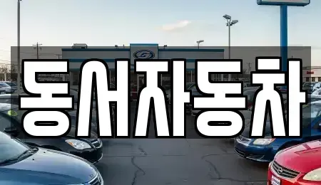 부산 영도구 남항동2가 중고차매매 전문 동서자동차
