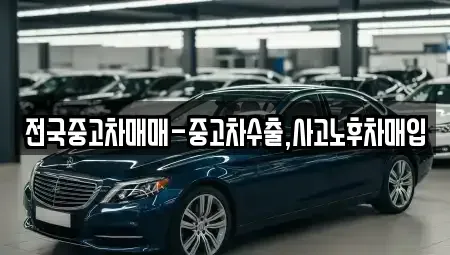 부산 영도구 남항동2가 중고차매매 전문 전국중고차매매-중고차수출,사고노후차매입