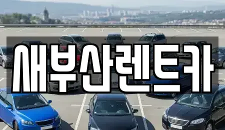 부산광역시 북구 단기렌트카 전문 새부산렌트카