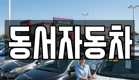 부산광역시 북구 중고차매매 전문 동서자동차