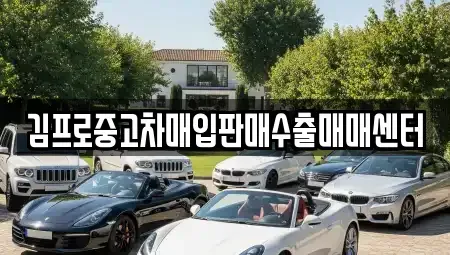 부산광역시 북구 중고차매입 전문 김프로중고차매입판매수출매매센터