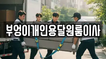 부엉이개인용달원룸이사