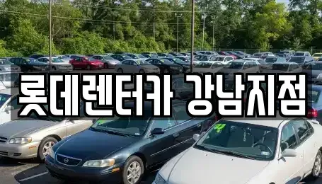 서울 강남구 삼성동 렌트카 전문 롯데렌터카 강남지점