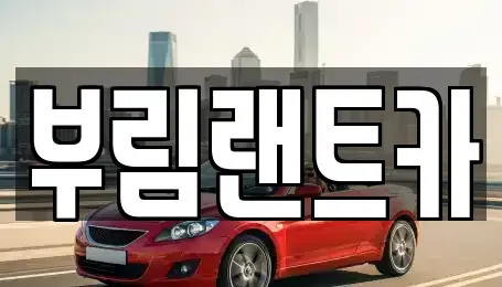 서울 강남구 삼성동 렌트카 전문 부림랜트카