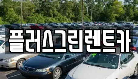 서울 강남구 삼성동 렌트카 전문 플러스그린렌트카