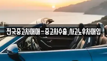 서울 강남구 삼성동 중고차매입 전문 전국중고차매매-중고차수출,사고노후차매입