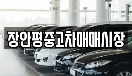 서울 도봉구 쌍문동 중고차매매 전문 장안평중고차매매시장