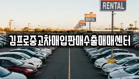 서울 도봉구 쌍문동 중고차매입 전문 김프로중고차매입판매수출매매센터