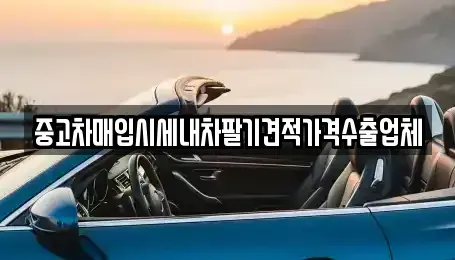 서울 도봉구 쌍문동 중고차매입 전문 중고차매입시세내차팔기견적가격수출업체