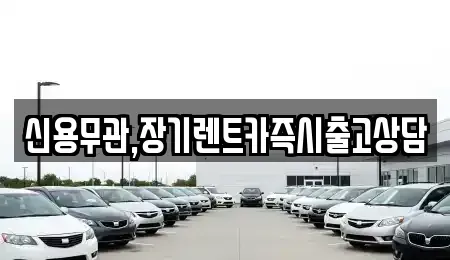 서울 도봉구 장기렌트카 전문 신용무관,장기렌트카즉시출고상담
