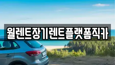 서울 도봉구 장기렌트카 전문 월렌트장기렌트플랫폼직카