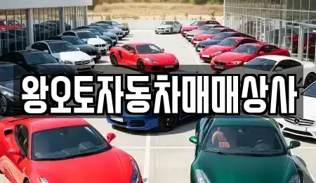 서울 도봉구 중고차 전문 왕오토자동차매매상사