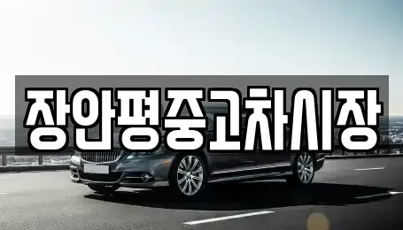 서울 도봉구 중고차 전문 장안평중고차시장