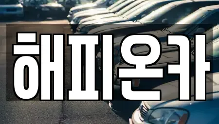 서울 도봉구 중고차 전문 해피온카