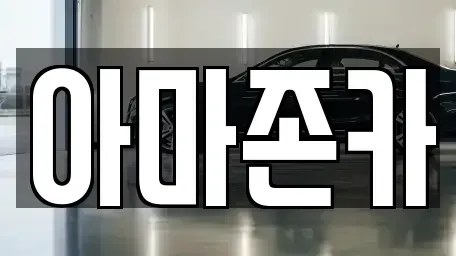 서울 영등포구 여의도동 렌트카 전문 아마존카