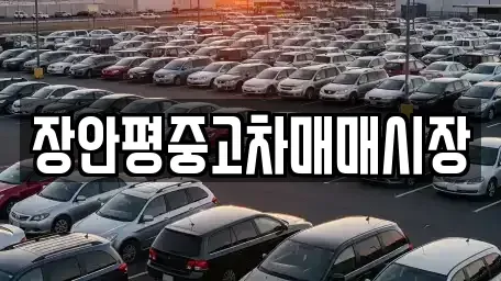 서울 영등포구 여의도동 중고차 전문 장안평중고차매매시장