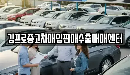 서울 영등포구 여의도동 중고차매입 전문 김프로중고차매입판매수출매매센터