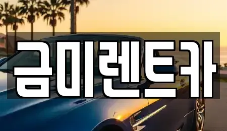 서울 영등포구 영등포동6가 렌트카 전문 금미렌트카