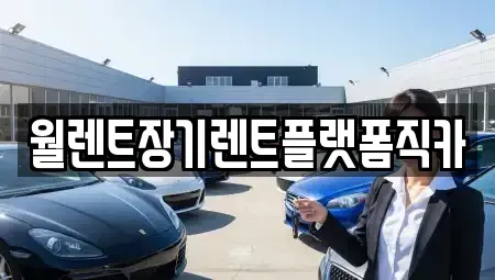 서울 은평구 증산동 렌트카 전문 월렌트장기렌트플랫폼직카