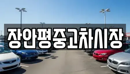 서울 은평구 증산동 중고차 전문 장안평중고차시장