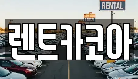 서울 중구 방산동 렌트카 전문 렌트카코아