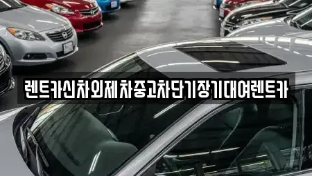 서울 중구 필동1가 렌트카 전문 렌트카신차외제차중고차단기장기대여렌트카