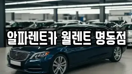 서울 중구 필동1가 렌트카 전문 알파렌트카 월렌트 명동점