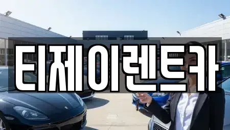 서울 중구 필동1가 렌트카 전문 티제이렌트카