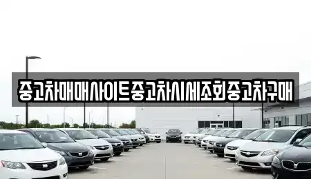 서울 중구 필동1가 중고차 전문 중고차매매사이트중고차시세조회중고차구매