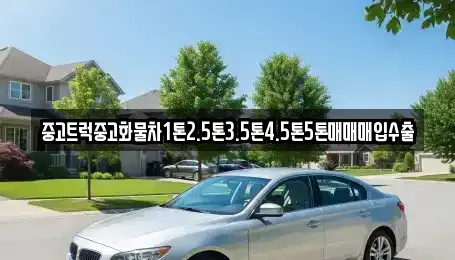 서울 중구 필동1가 중고차매입 전문 중고트럭중고화물차1톤2.5톤3.5톤4.5톤5톤매매매입수출